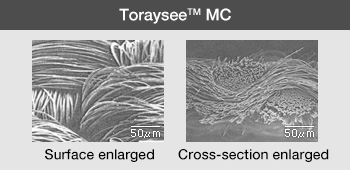 Toraysee™ MC